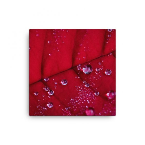 "Holiday Dew" canvas fine art print, by Jesse Vachon - Image 6