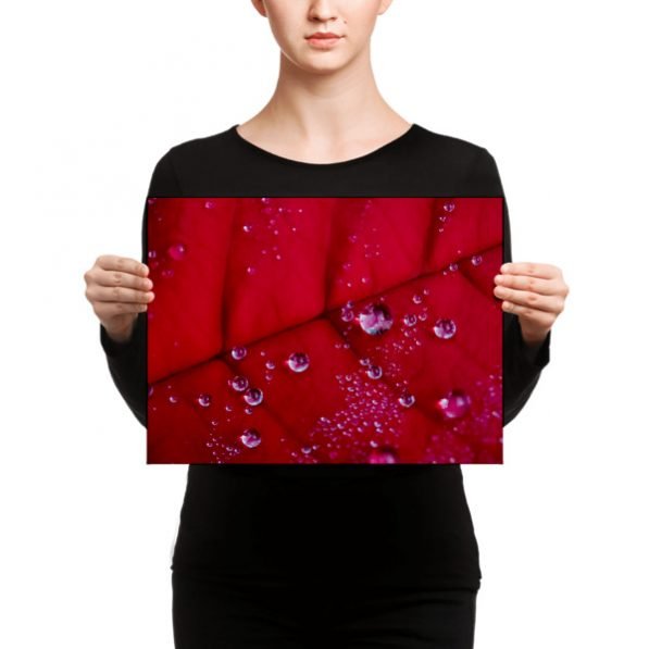 "Holiday Dew" canvas fine art print, by Jesse Vachon - Image 5