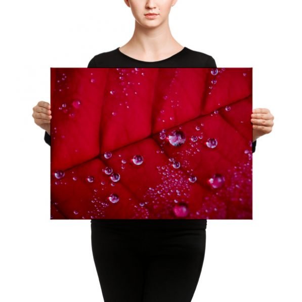 "Holiday Dew" canvas fine art print, by Jesse Vachon - Image 10