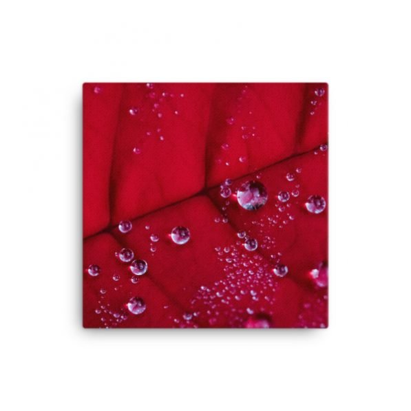 "Holiday Dew" canvas fine art print, by Jesse Vachon - Image 2