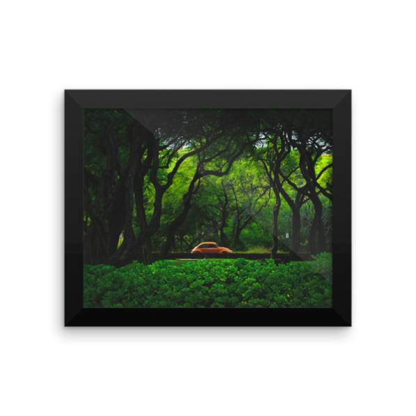 "Hawaiian Vintage" framed fine art photography print by Jesse Vachon - Image 2