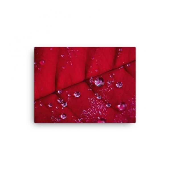 "Holiday Dew" canvas fine art print, by Jesse Vachon - Image 4