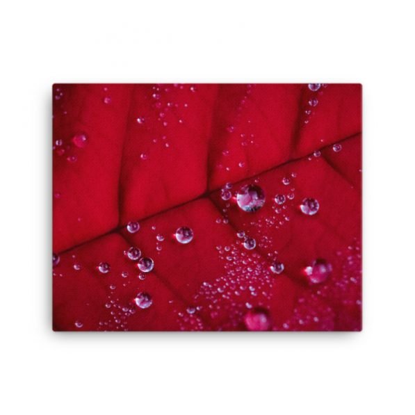 "Holiday Dew" canvas fine art print, by Jesse Vachon - Image 8